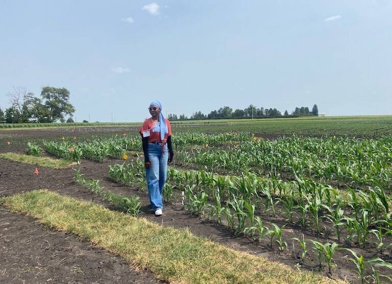 Iowa State Scientists lead quest for perennial cover tailored to conventional cropping systems